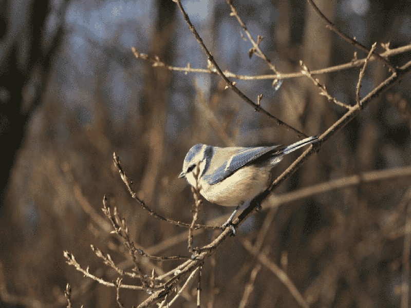 试管的最小容量杭州做试管补贴有点弯曲的试管