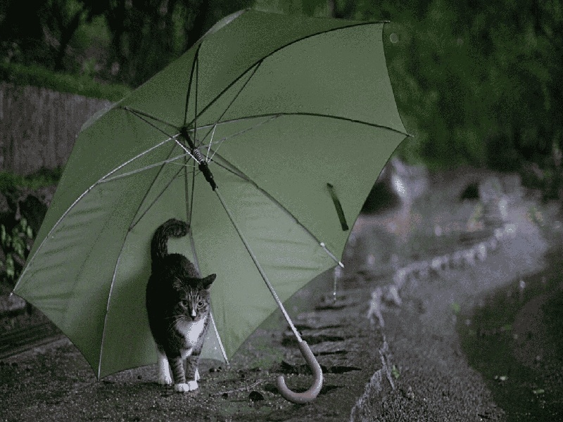 试管胚胎到囊胚试管卧床血糖高试管烧杯晾晒架